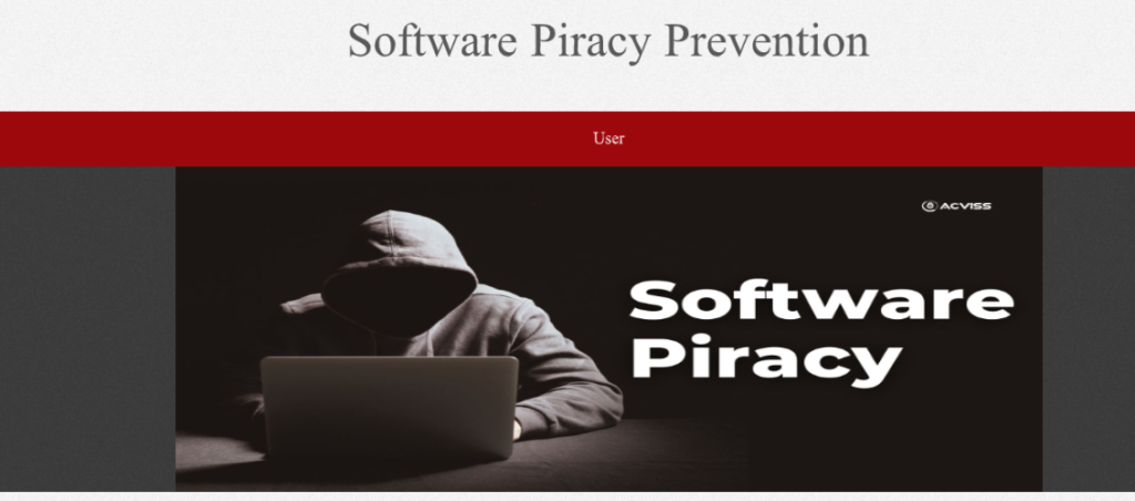 image-82-1024x452 Software Piracy Protection Project