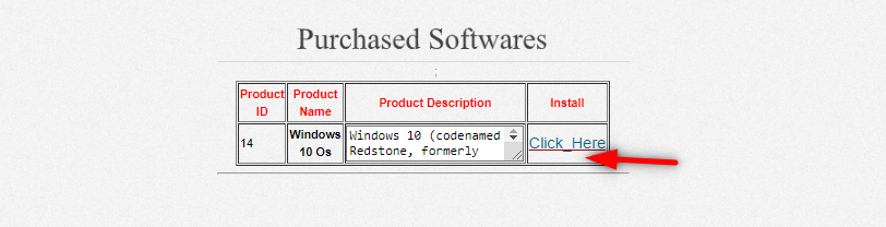 image-87 Software Piracy Protection Project