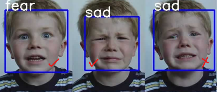screenshot Real-Time Emotion Detection with Python